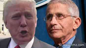 Donald Trump Extremely Pissed Off Dr. Fauci Getting All the COVID Credit