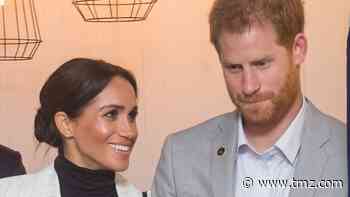 Prince Harry Now 'A Shadow of the Prince I Once Knew' Says Biographer