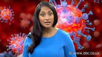 Covid-19: How will the pandemic affect global health in 2021?