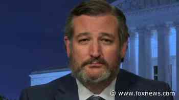 Cruz says Supreme Court 'better forum' for election disputes amid Electoral College objection push