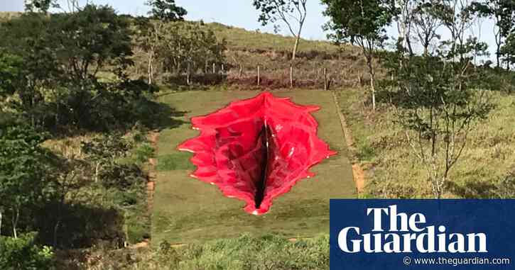 The vagina dialogues: 33-metre artwork draws far right's ire in Brazil