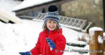 Northumberland wonderland: See stunning pictures of countryside covered in snow