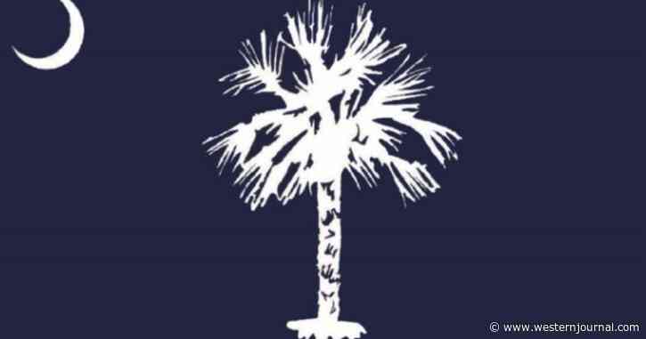 South Carolina Just Debuted Its New State Flag – And Nearly Everyone Hates It
