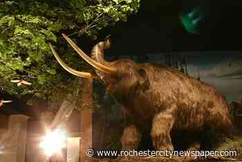 When it comes to public arts funding, RMSC is the elephant in the room - Rochester City Newspaper