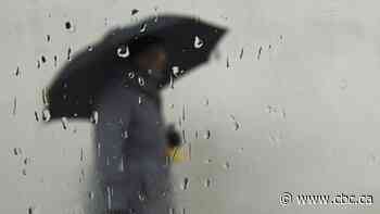 Thousands of Nova Scotia Power customers left without electricity Sunday after storm