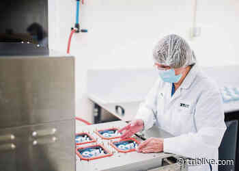 Upper Burrell medical device company to expand and hire employees - TribLIVE