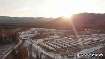 B.C. health order restricts number of workers at large industrial work sites