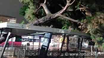 Maltempo Roma, a Termini albero cade sulla fermata del bus