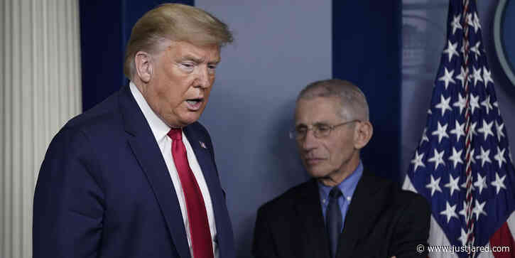 Trump Is Mad That He's Not Getting Credit for Work for Handling Pandemic Like Dr. Fauci