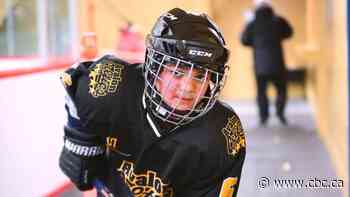 'I want to say thank you': Syrian-Canadian boy loving hockey after community rallied to get him equipment