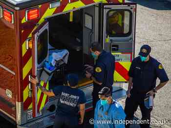 Flu cases plummet amid Covid precautions