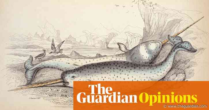 The nature of the narwhal: 'The one that is good at curving itself to the sky' | Helen Sullivan