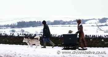 See beautiful snowy scenes in County Durham as temperatures continue to plummet