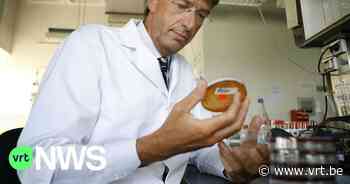 Zorgen om felle corona-uitbraken in Duffel, Lier en Wuustwezel, maar geen nieuwe, besmettelijkere virusvariant - VRT NWS