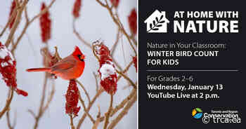 Nature in Your Classroom Livestream – Winter Bird Count for Kids (2021-01-13) - TRCA