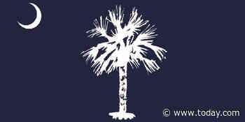 Palmetto tree or toilet brush? Proposed state flag redesign prompts backlash
