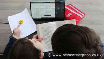 Pupils across Northern Ireland could have remote classes until February