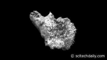 Incredible 3D Video Microscopy Shows Human White Blood Cells Use Molecular Paddles to Swim