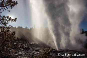 Is Reawakened Steamboat Geyser a Harbinger for Explosive Yellowstone Volcanic Eruptions?