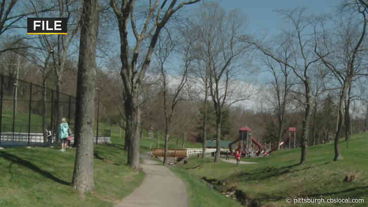Pittsburgh Selected For Reforestation Hubs Initiative