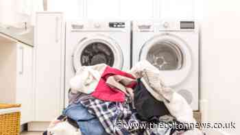 How to make the best laundry liquid and powder substitutes
