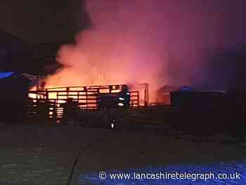 Hyndburn: Animals rehomed after Manchester Road, Baxenden allotment fire