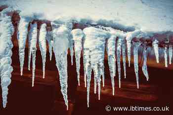 Think before you lick! Meteorologist claims icicles may have bird feces on them