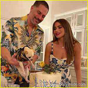 Sofia Vergara shares photos Inside Joe Manganiello’s 44th Birthday Dinner! - BollyInside