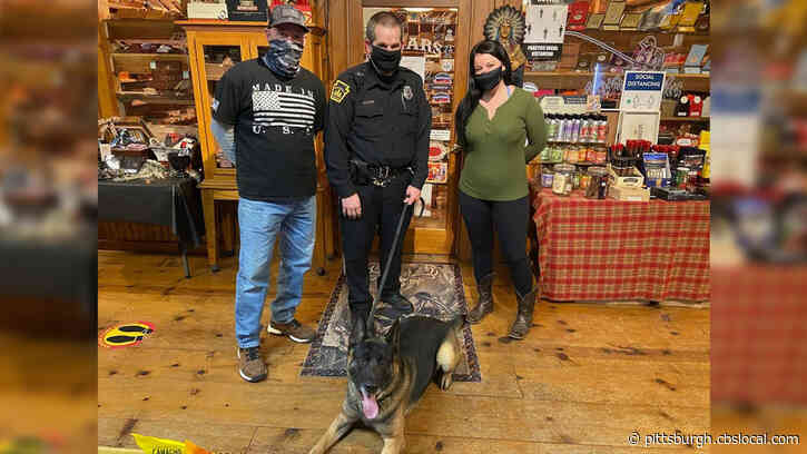 Whitehall Borough K9 Officer Finn Receives Donation, Becomes Equipped With GPS Tracking Device