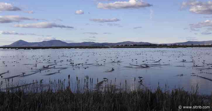 Letter: Wildlife and agriculture can coexist