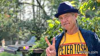 Cannabis activist and entrepreneur Steve DeAngelo leaves California cannabis company, Harborside Inc - The London Free Press