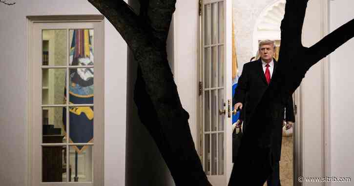 Michelle Goldberg: To defend democracy, investigate Trump
