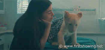 Trailer for Lion Cub Movie 'Lena and Snowball' with Melissa Collazo