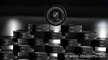 NHL sells naming rights to divisions for 2021 season