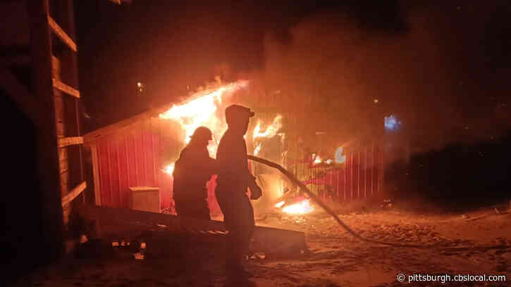 Farm Family Devastated After Christmas Eve Fire Kills Hundreds Of Animals