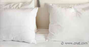 The best silk pillowcases for 2021     - CNET