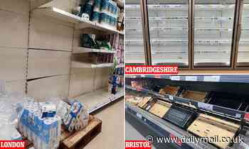 Supermarket shelves begin to empty of toilet roll and frozen food - Daily Mail