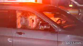 Tourists from Houston among 10 injured in man's wild crime spree with tree branch across Manhattan - KTRK-TV