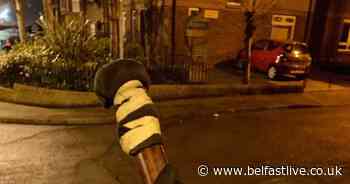Youths throw missiles at police during 'confrontation' in North Belfast - Belfast Live
