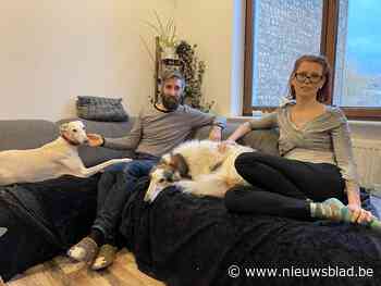 Oostendse vzw pakt komende zomer uit met veganistisch festival waar alles veganistisch moet zijn… zelfs de artiesten