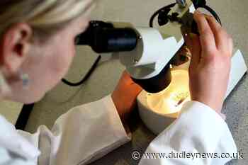 Targeting arterial stiffening 'may provide benefits for later brain health' - Dudley News