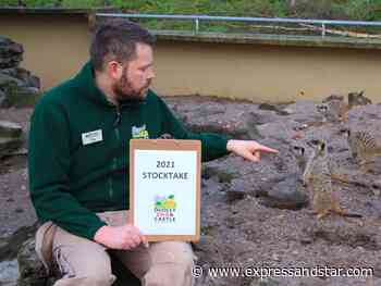 Numbers game as Dudley Zoo's annual stocktake begins - expressandstar.com
