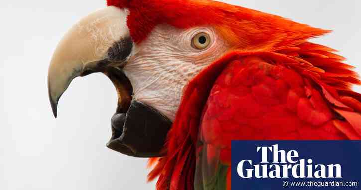 Recall of the wild: South America's new era of nature-led tourism