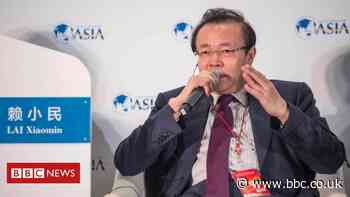 Lai Xiaomin: Criticism of death sentence on former Chinese tycoon