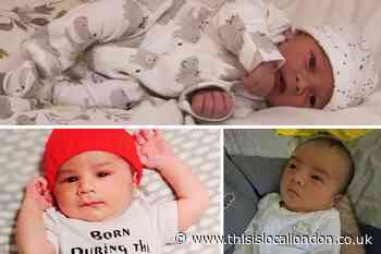 Christmas and New Year's Day babies born in Harlow hospital