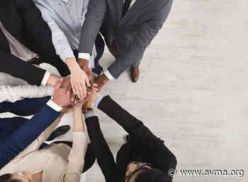 AVMA, AAVMC announce diversity, equity, inclusion commission - American Veterinary Medical Association