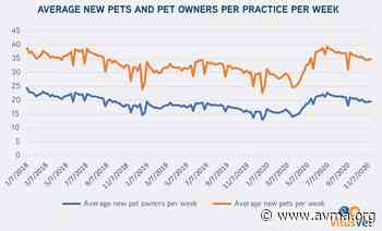 Are pet adoptions really skyrocketing? - American Veterinary Medical Association