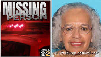 Pittsburgh Police Safely Locate Missing 85-Year-Old Woman Elaine Coles