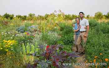 Farmers switch irrigation to save water, keep the Colorado River from growing saltier