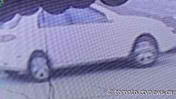 Suspect sought after dog killed in Niagara, Ont. hit-and-run